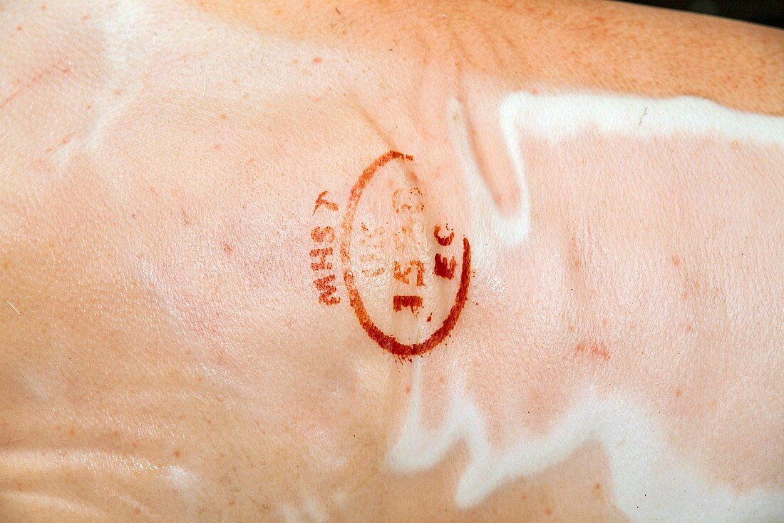 Pork abattoir stamp