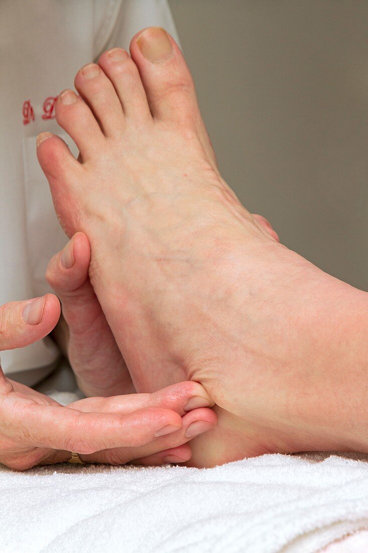 Physiotherapy,ankle palpation