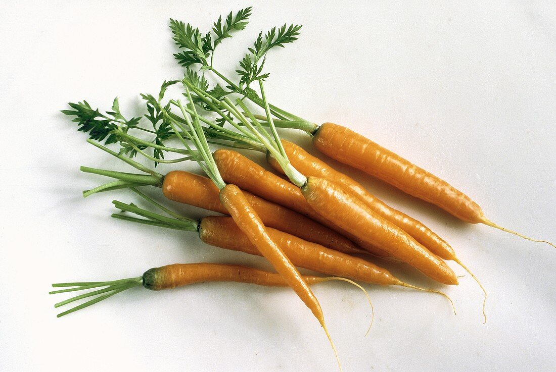 Karotten mit Grün