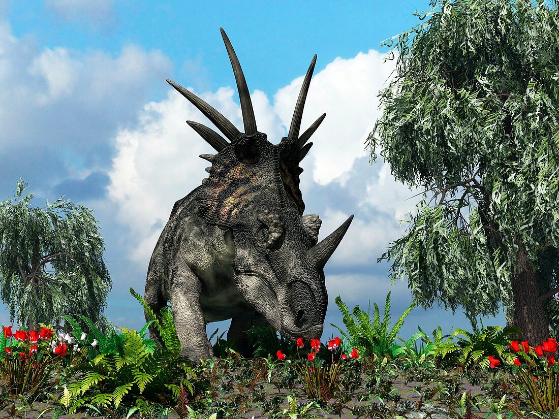 Styracosaurus,artwork