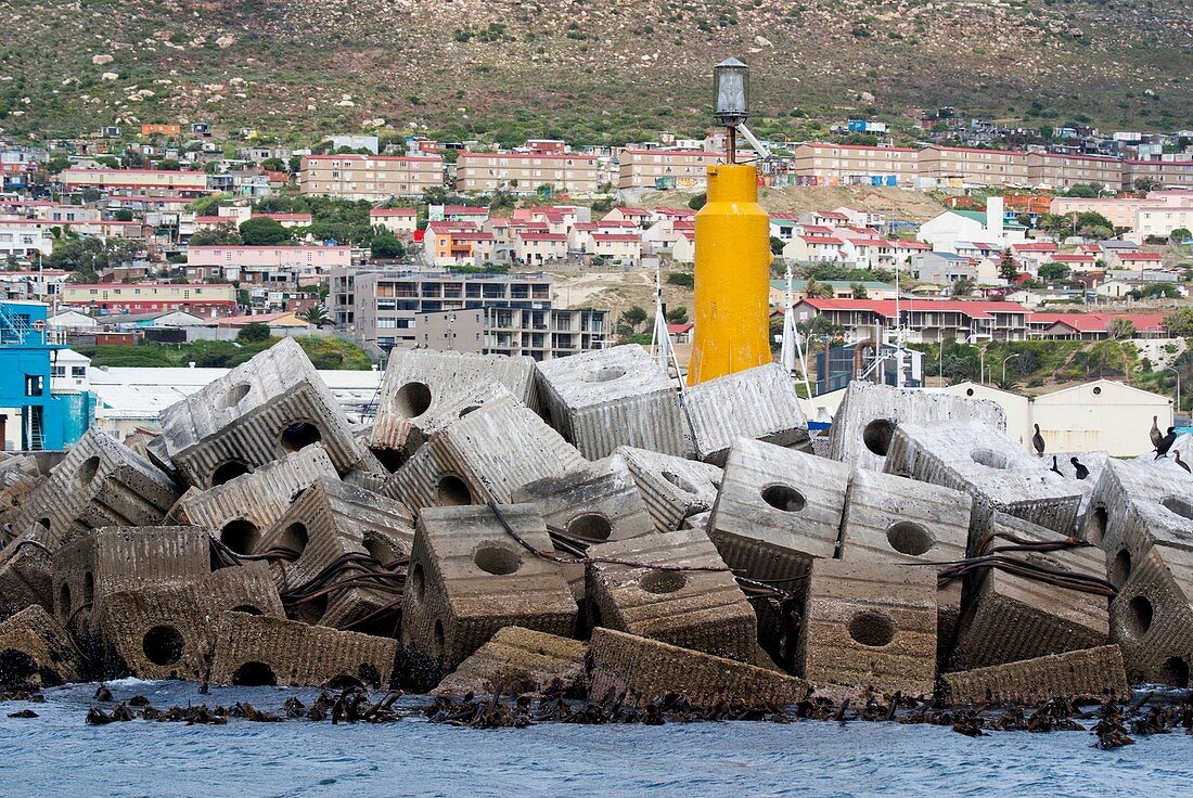 Concrete block breakwater in South Africa