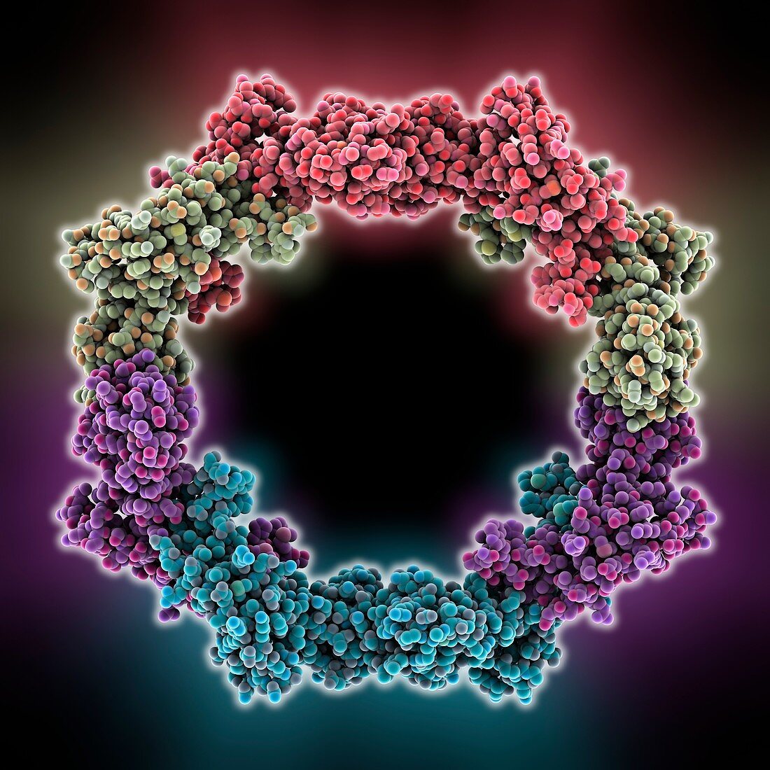 RNA interference viral suppressor