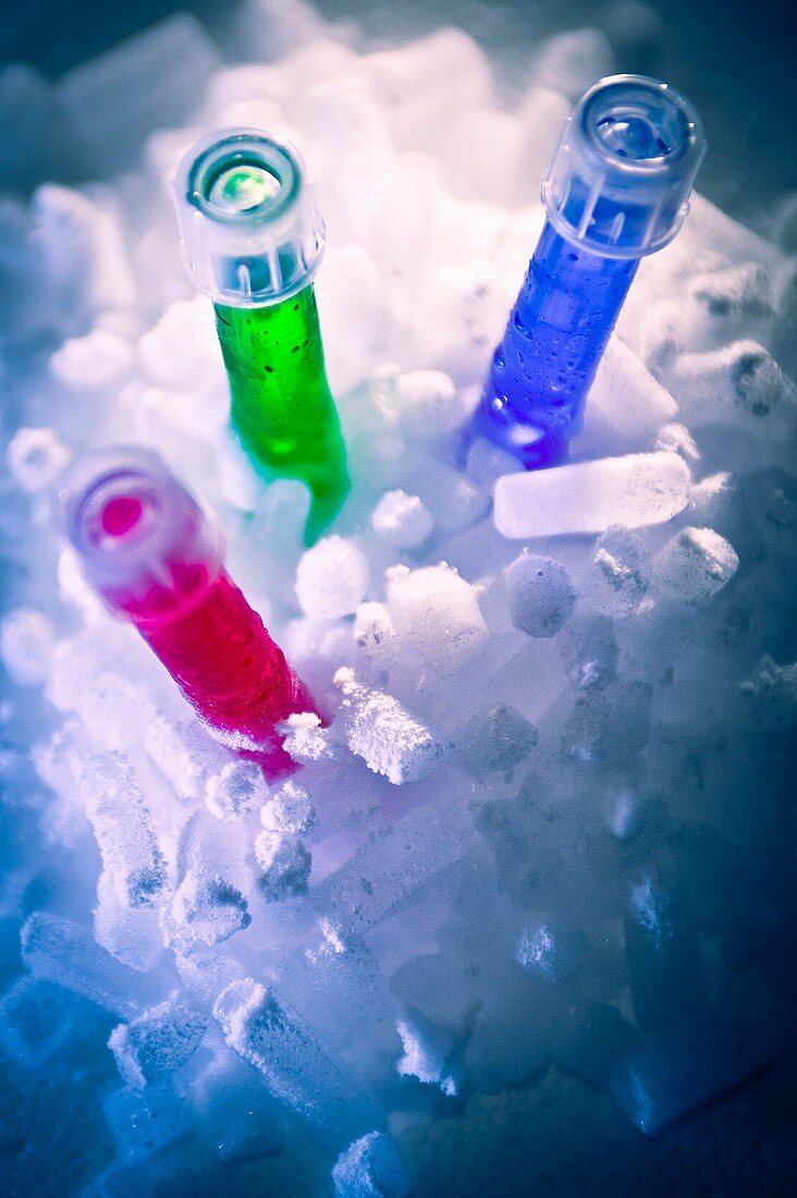 Sample tubes on ice