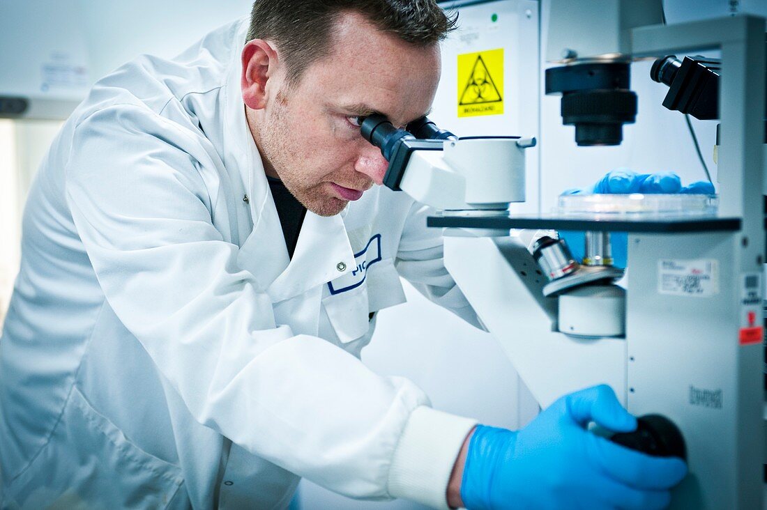 Scientist using a microscope