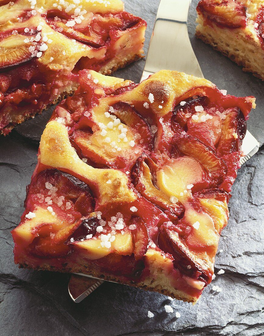 Tray-baked plum cake on cake slice