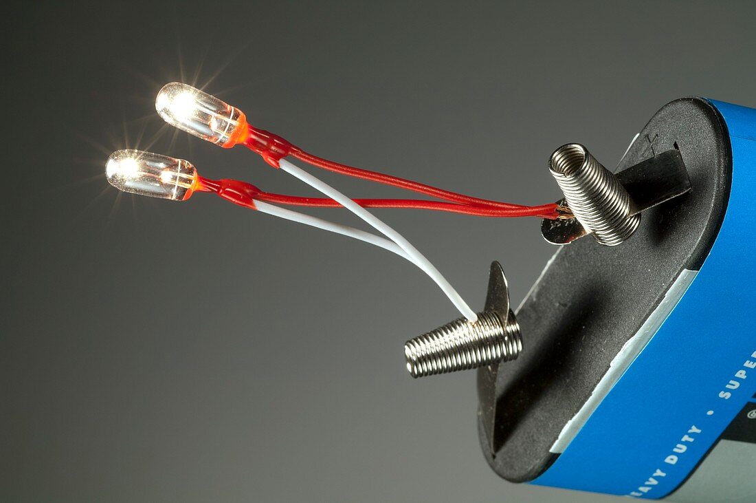 Miniature light bulbs and battery