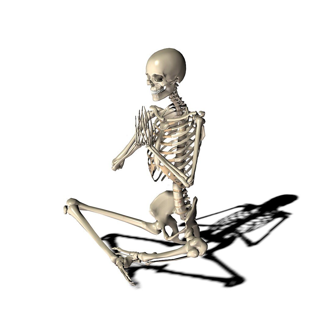 Skeleton in yoga position,artwork