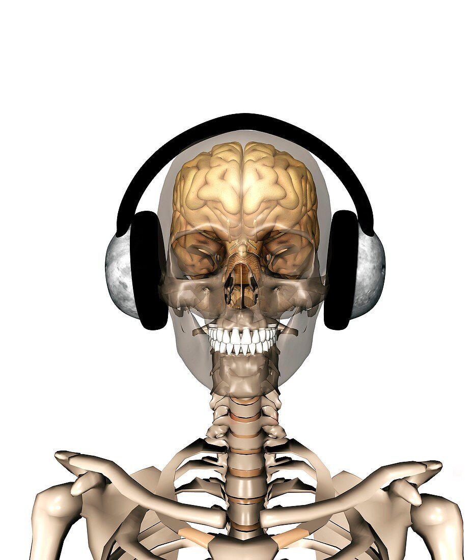 Skeleton wearing headphones,artwork