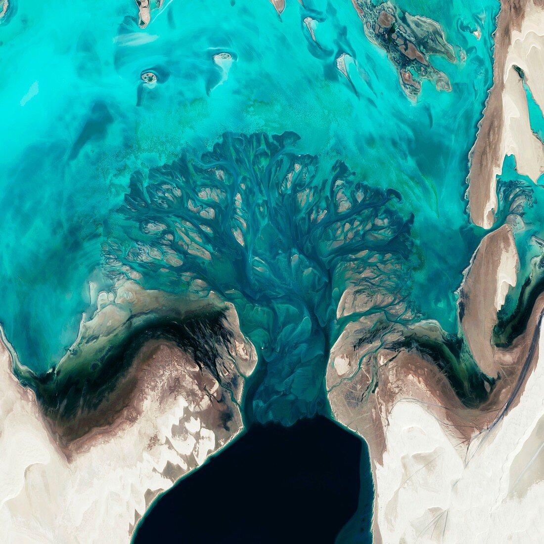 Tidal lake,Qatar,satellite image