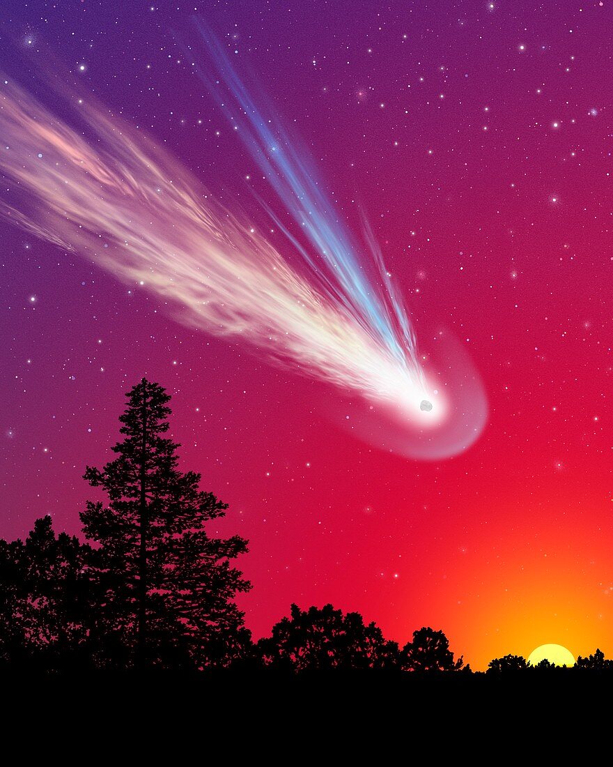 Comet over trees,artwork