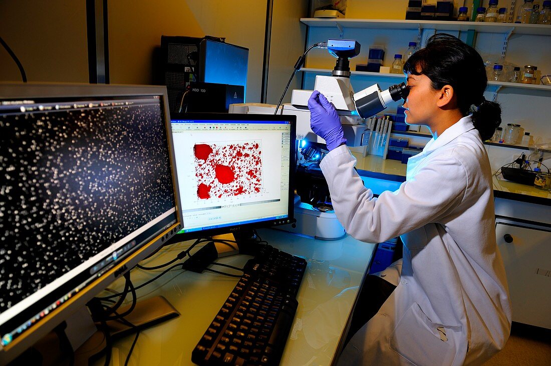 Biofuel battery research