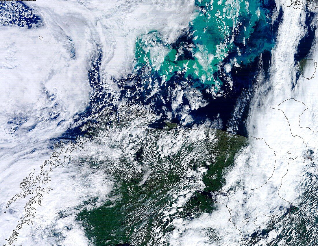 Barents Sea algal bloom,satellite image