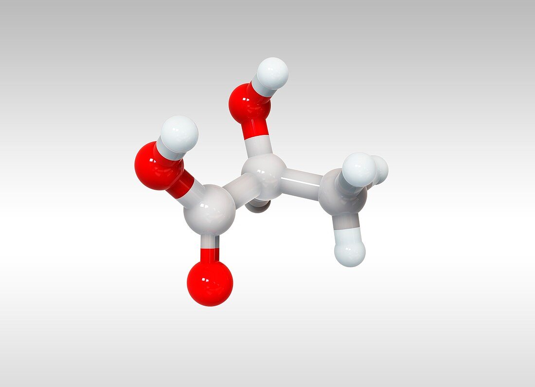 Lactic acid,molecular model