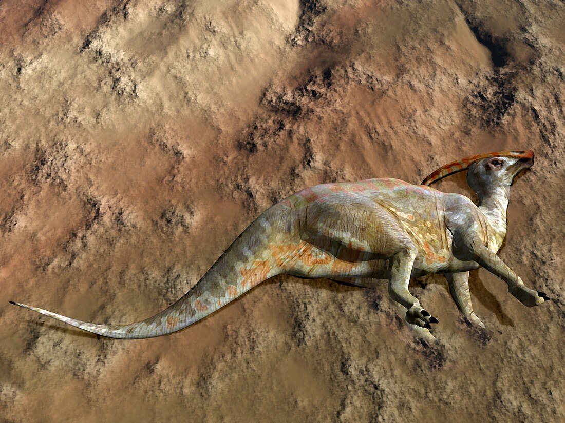 Dead Parasaurolophus dinosaur,artwork