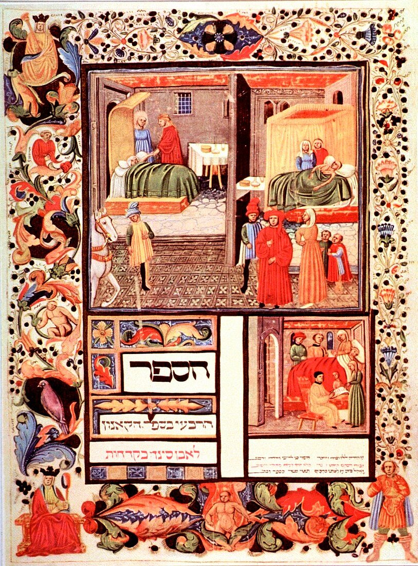 Page from The Canon of Medicine