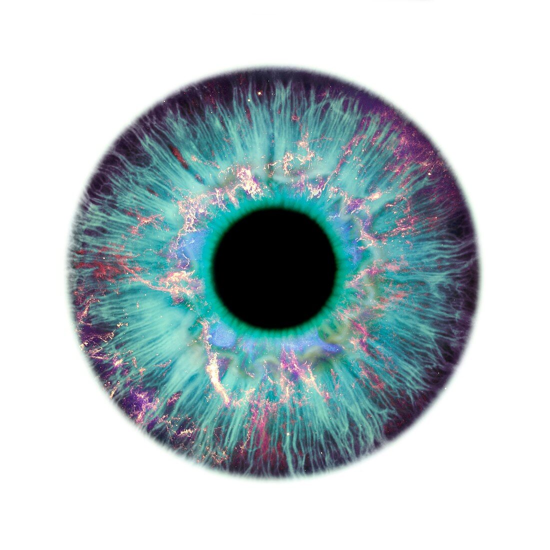 Human eye and nebula,composite image