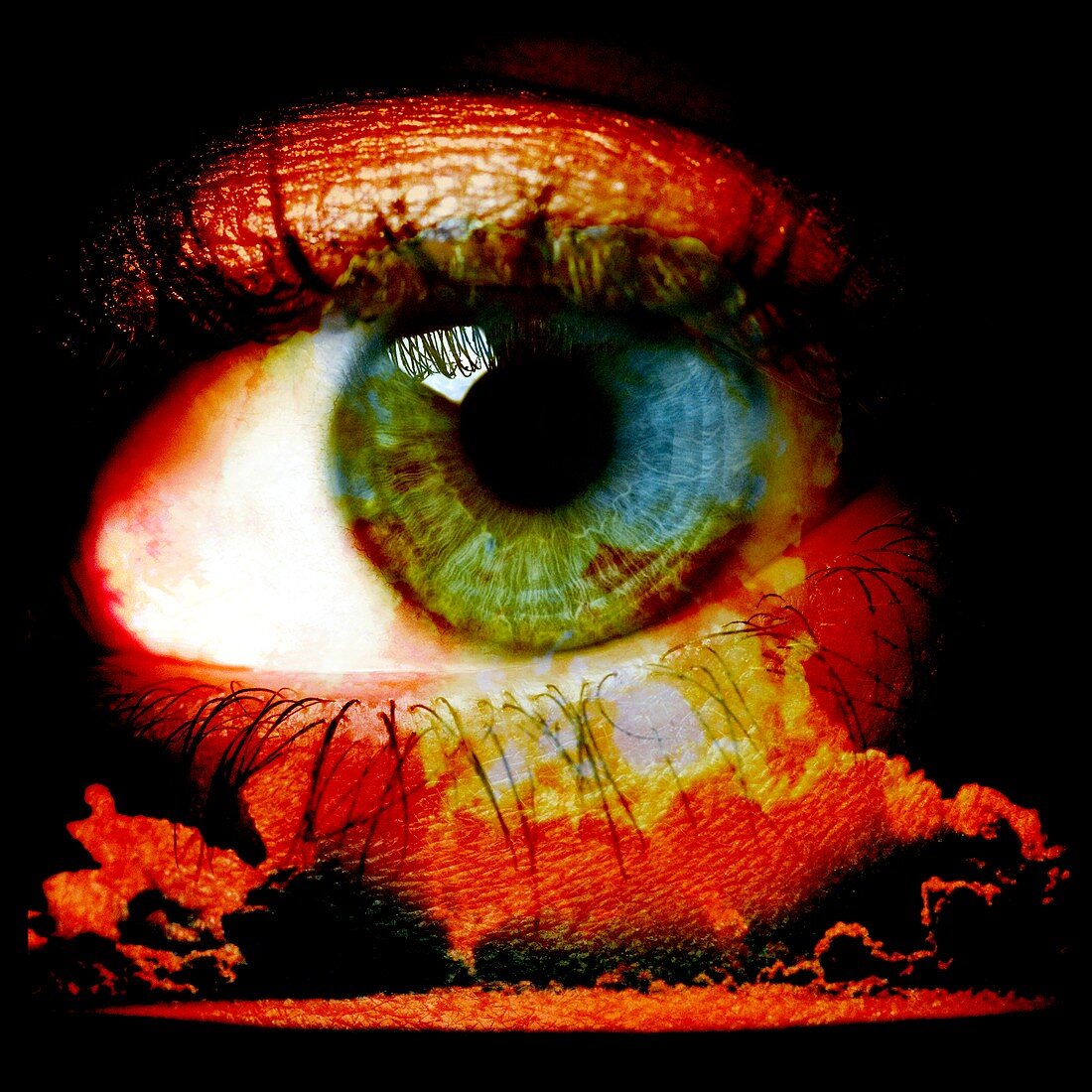 Human eye and nuclear explosion