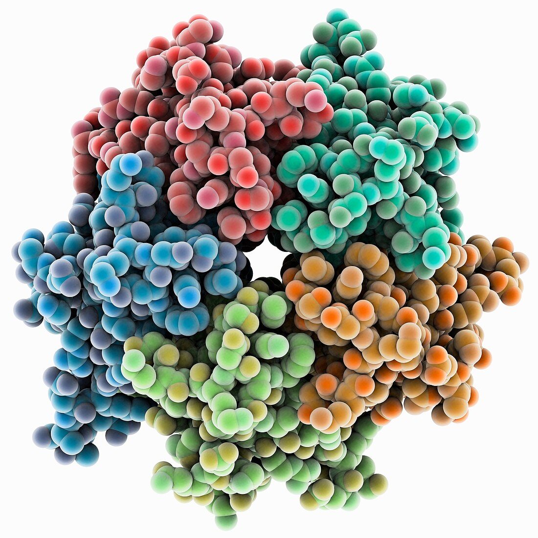 Nucleoplasmin molecule