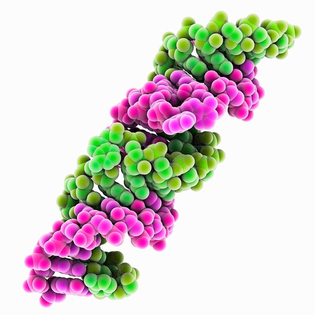 Genomic HIV-RNA duplex