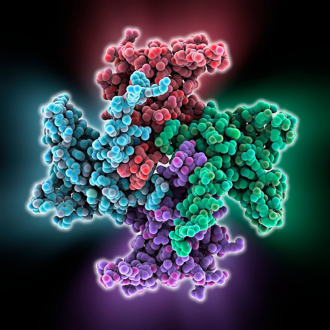 Mitochondrial RNA-binding proteins