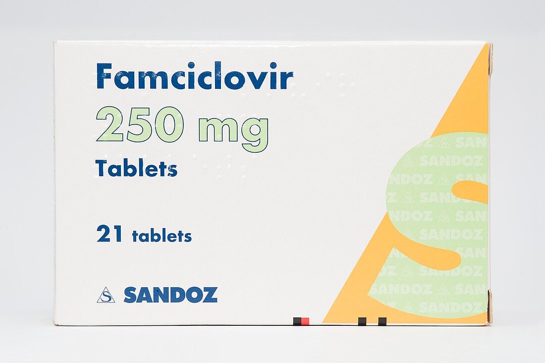 Famciclovir anti-viral drug