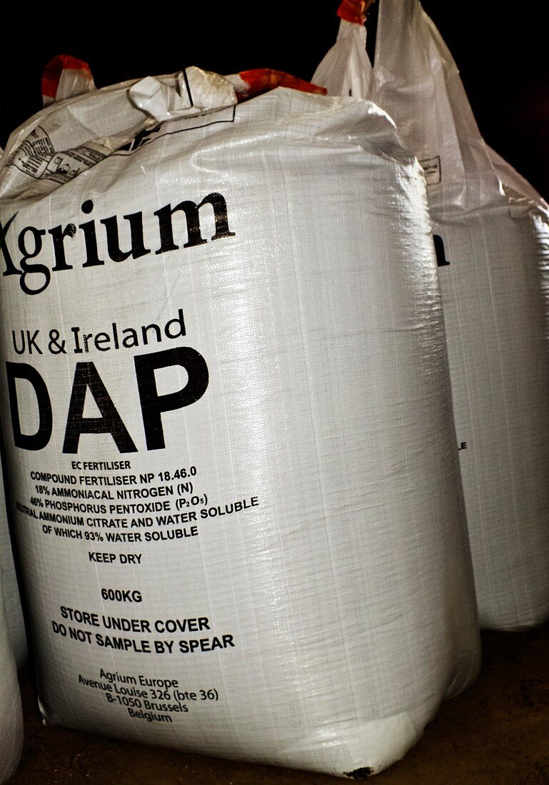 Bag of diammonium phosphate fertiliser