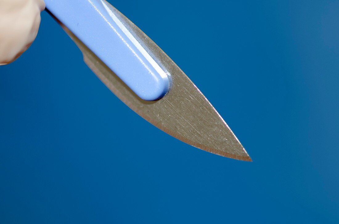 Blade of a scalpel