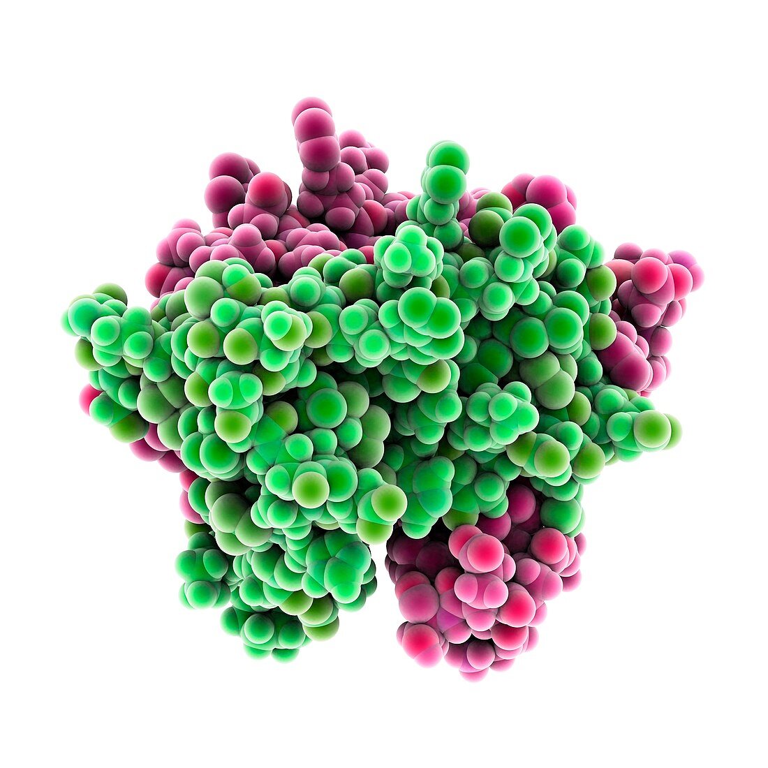 Influenza A non-structural protein 1