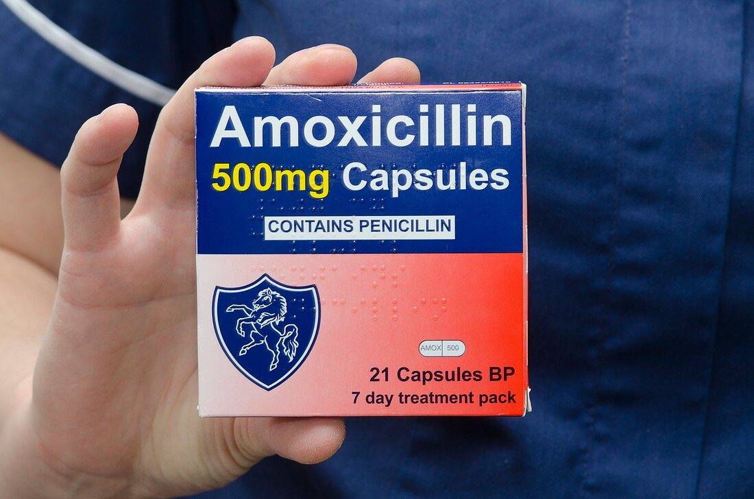 Pack of Amoxicillin capsules