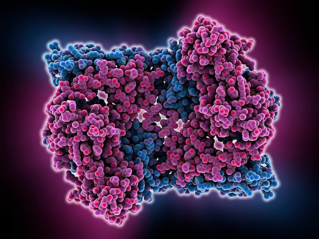 Cholera virulence regulator protein