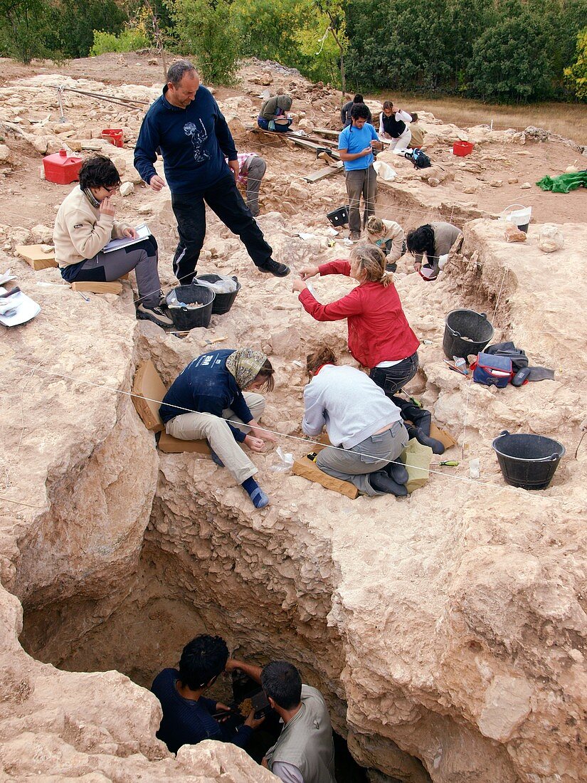 Neanderthal excavation,Pinilla del Valle