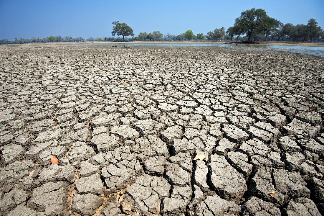 Dry earth,Zimbabwe