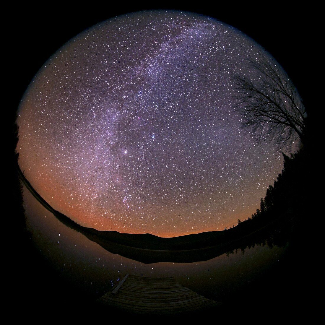 Zodiacal light and Milky Way,USA