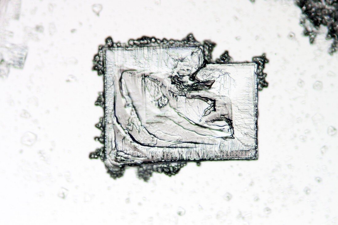 Potassium iodide crystals,micrograph