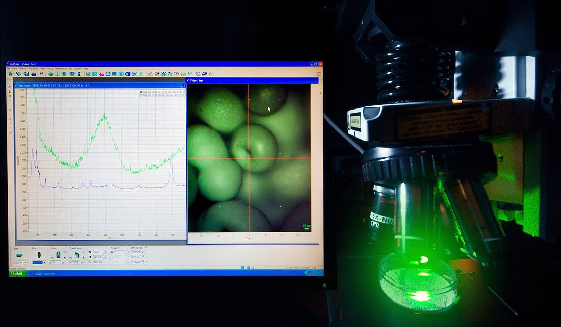 Raman laser spectroscopy