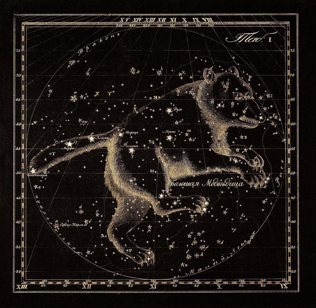 Ursa Major constellation,1829