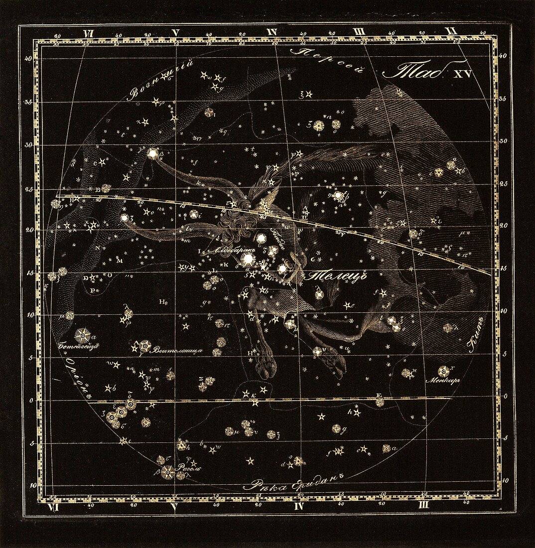 Taurus constellation,1829