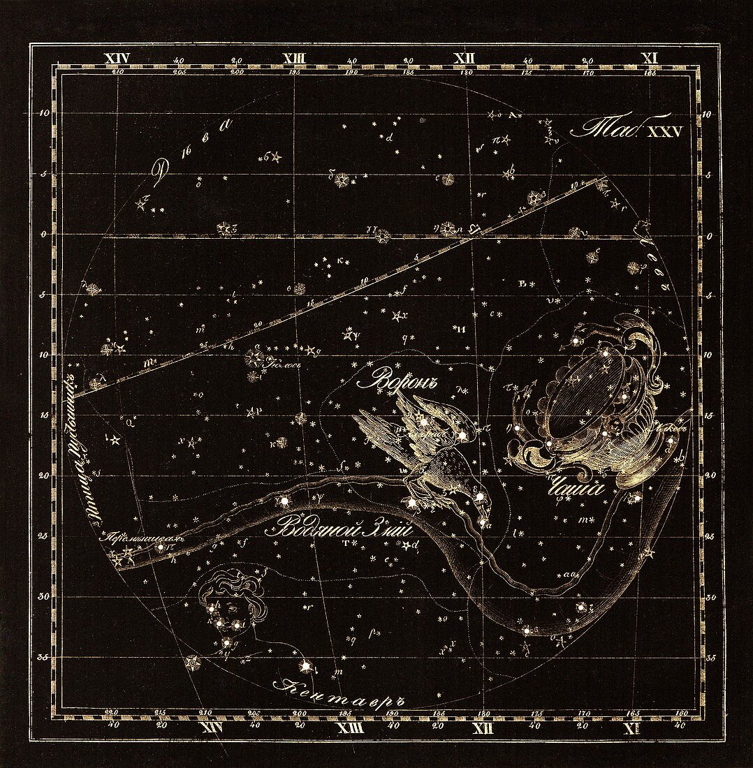 Corvus constellations,1829