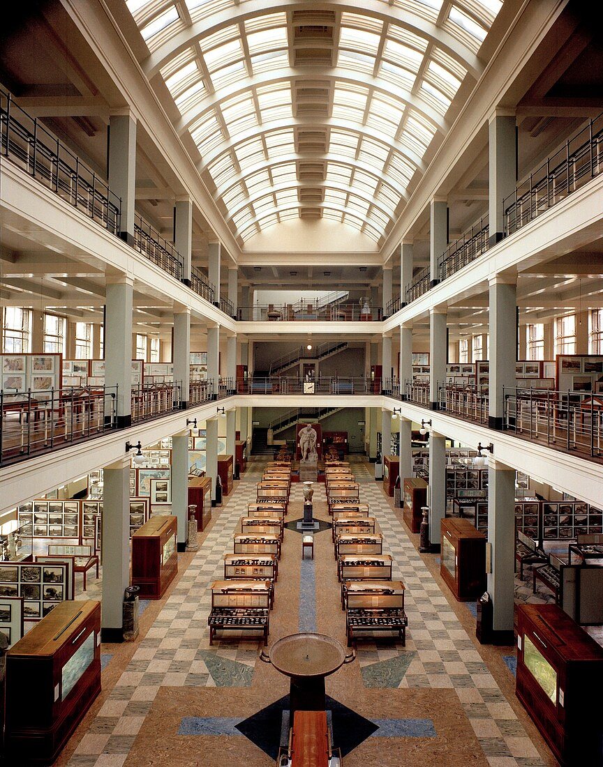 The Geological Museum,London