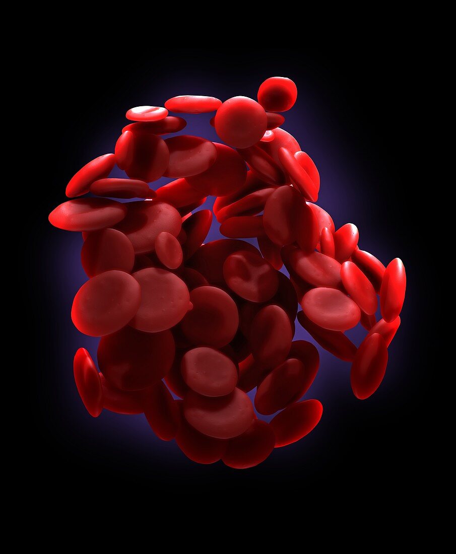 Red blood cells,artwork