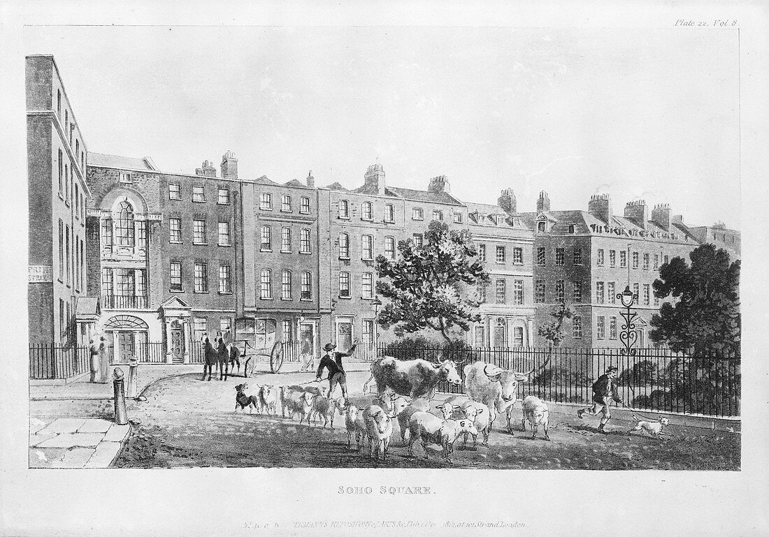 House of Joseph Banks,19th century