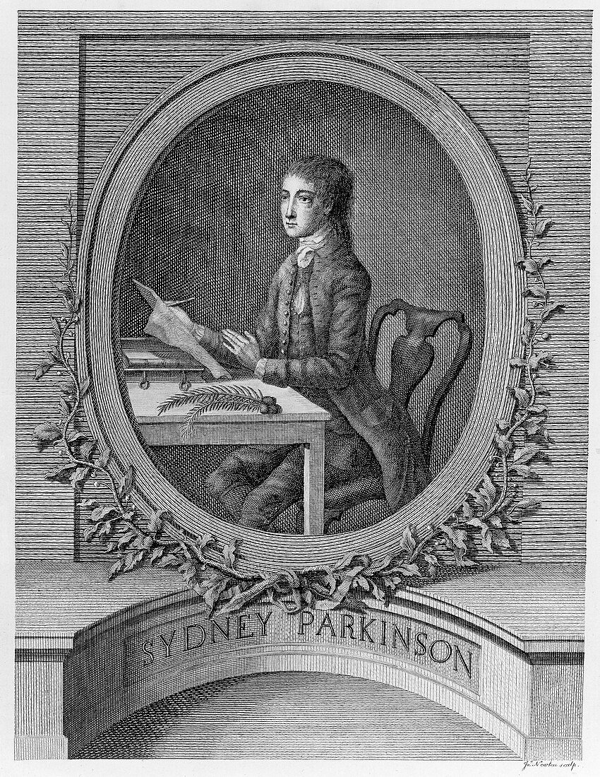 Sydney Parkinson,Scottish artist