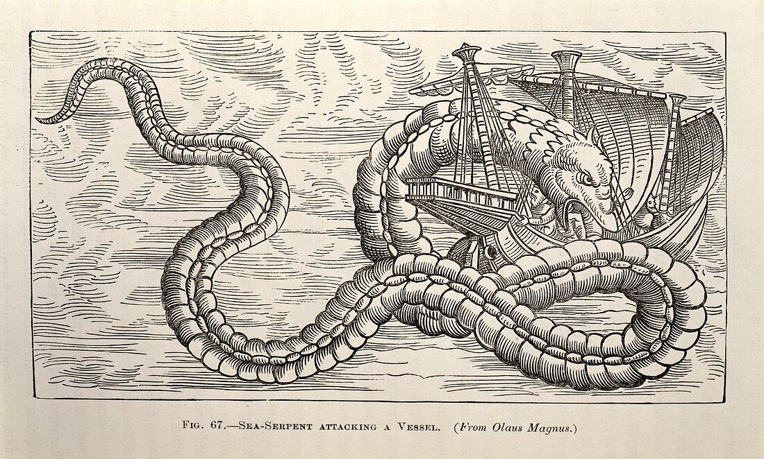 Sea serpent attacking a ship,1886