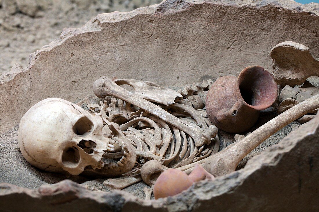 Bronze Age burial remains