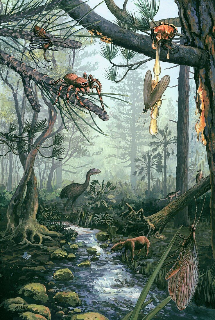 Eocene forest landscape,artwork