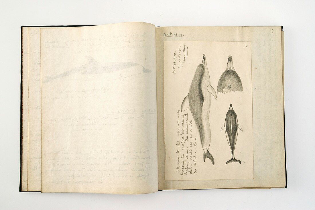 Terra Nova expedition notebook
