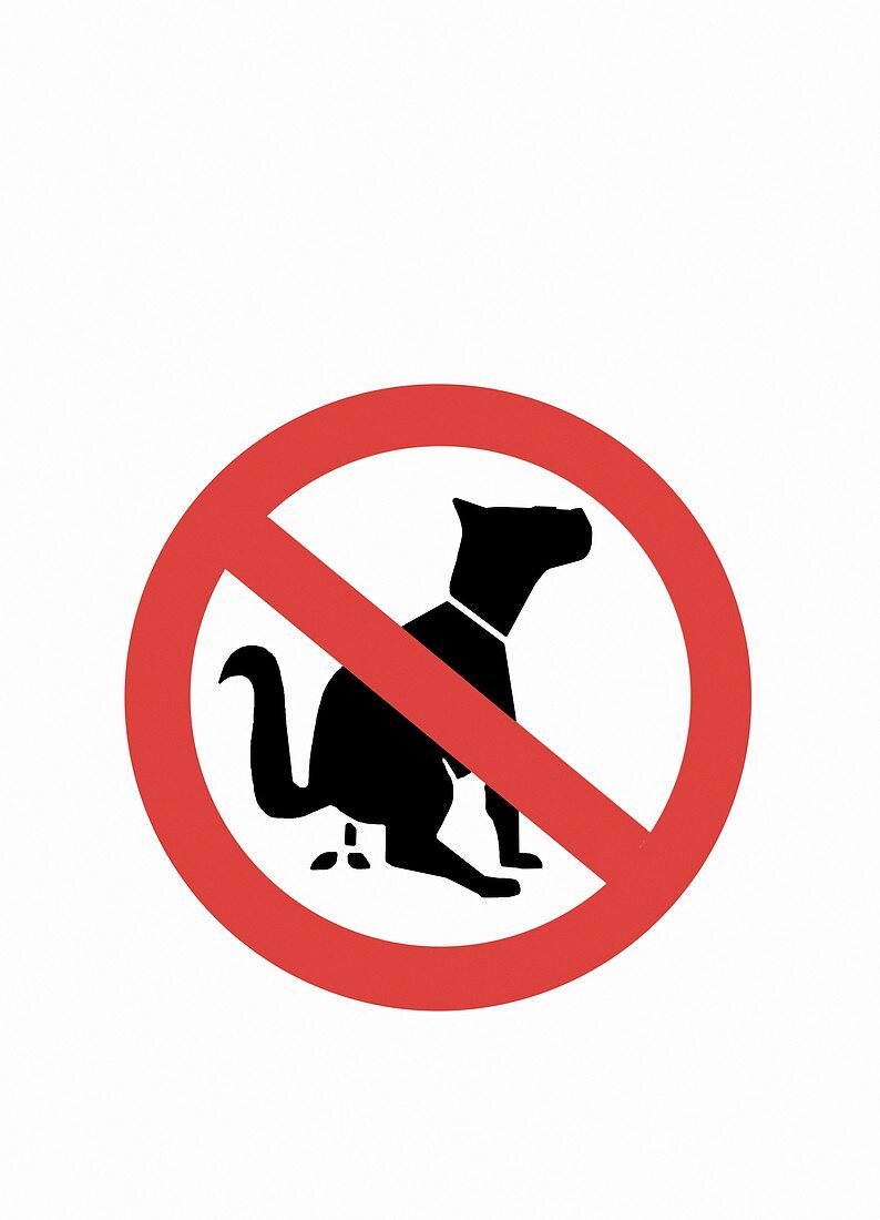 Anti dog-fouling sign,Spain