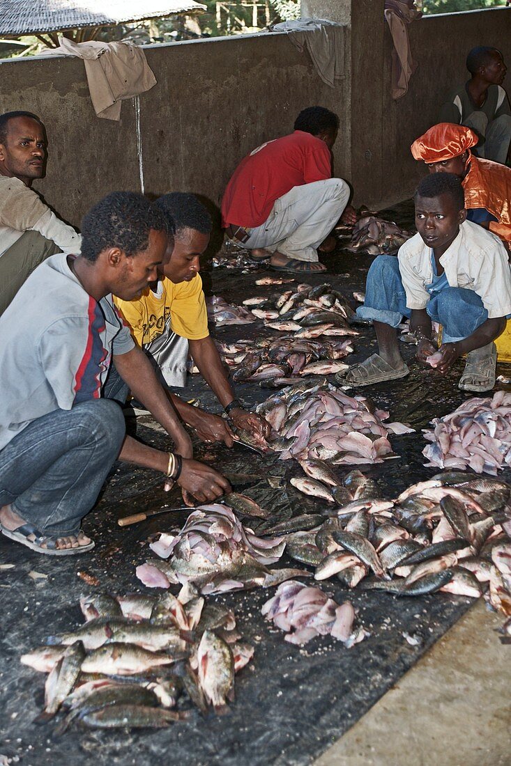 Fish market,Ethiopia