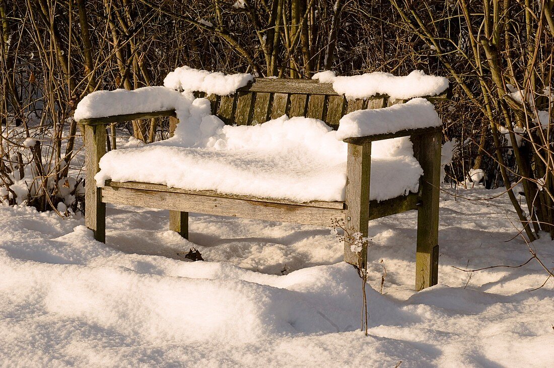 Garden bench in snow
