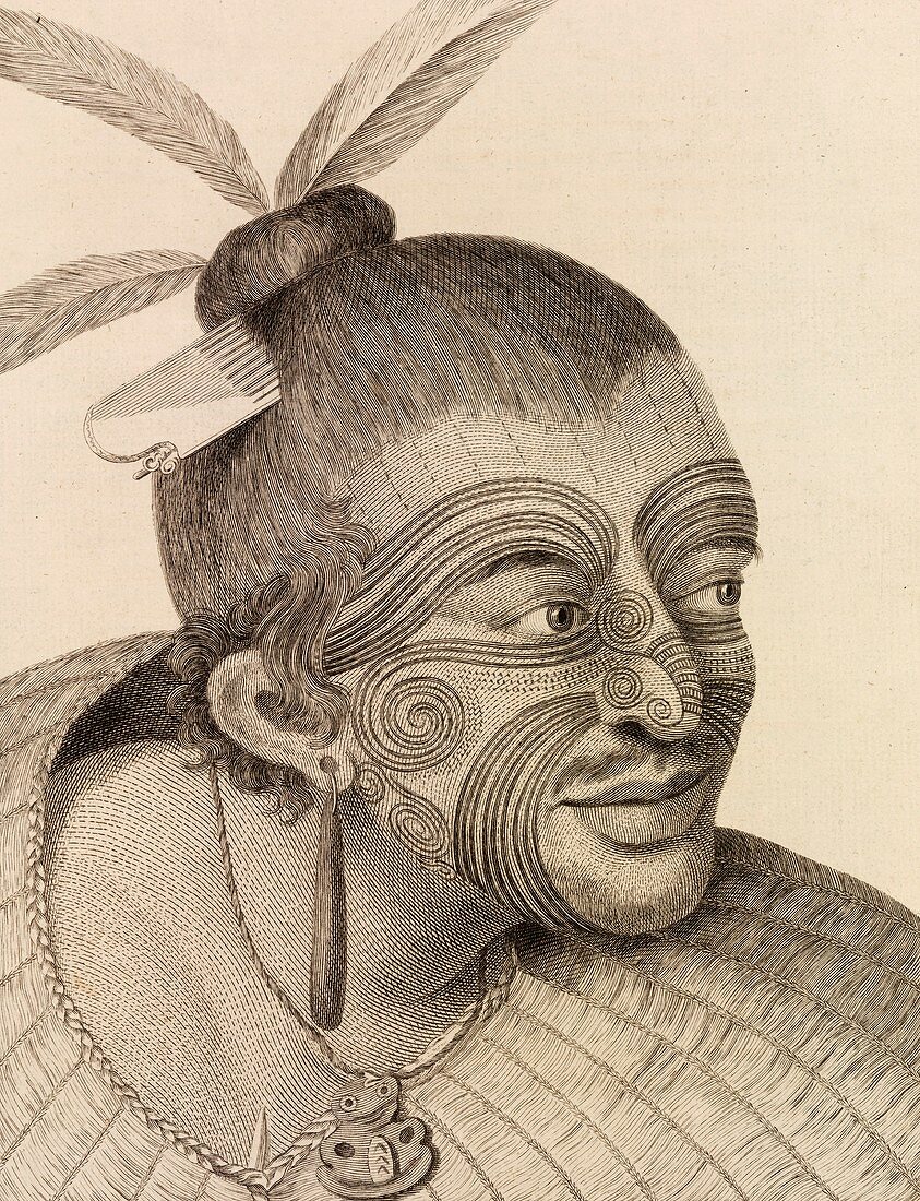 New Zealand warrior chief,18th century